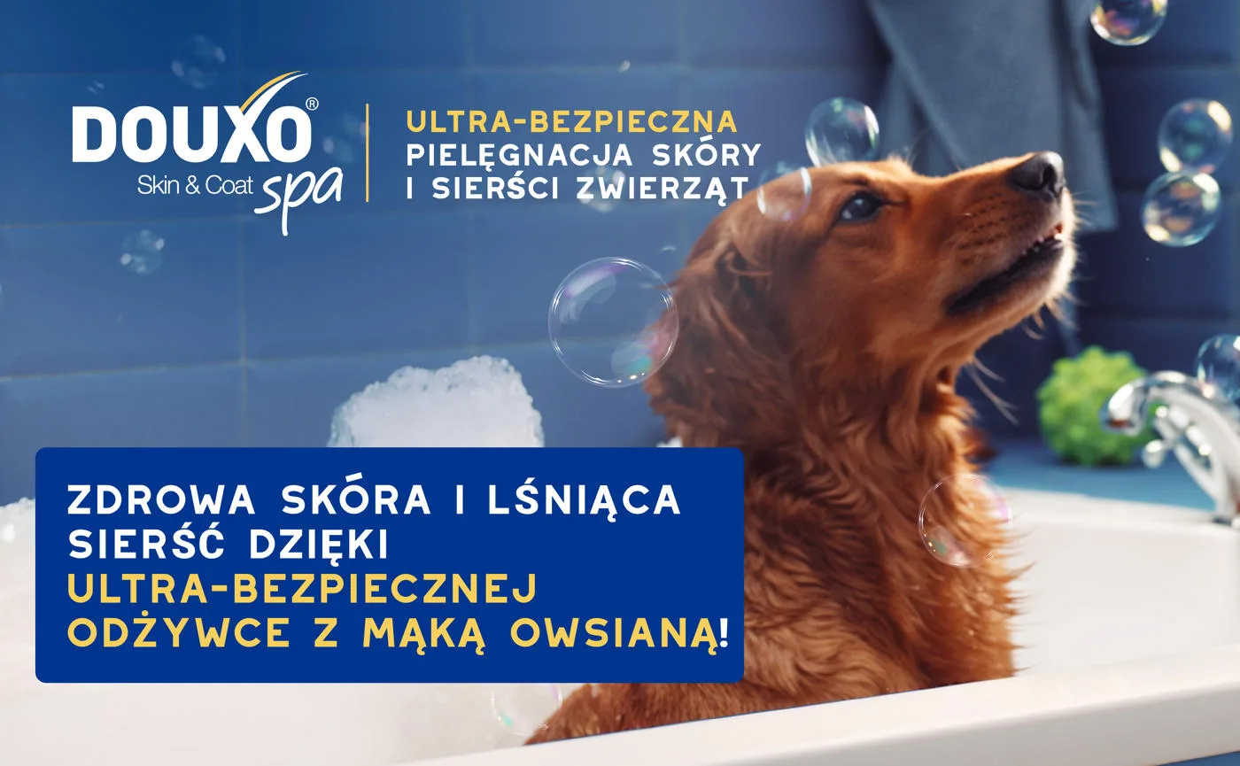 DOUXO Skin & Coat SPA Conditioner 250 ml ultrabezpieczna odżywka owsiana dla psów