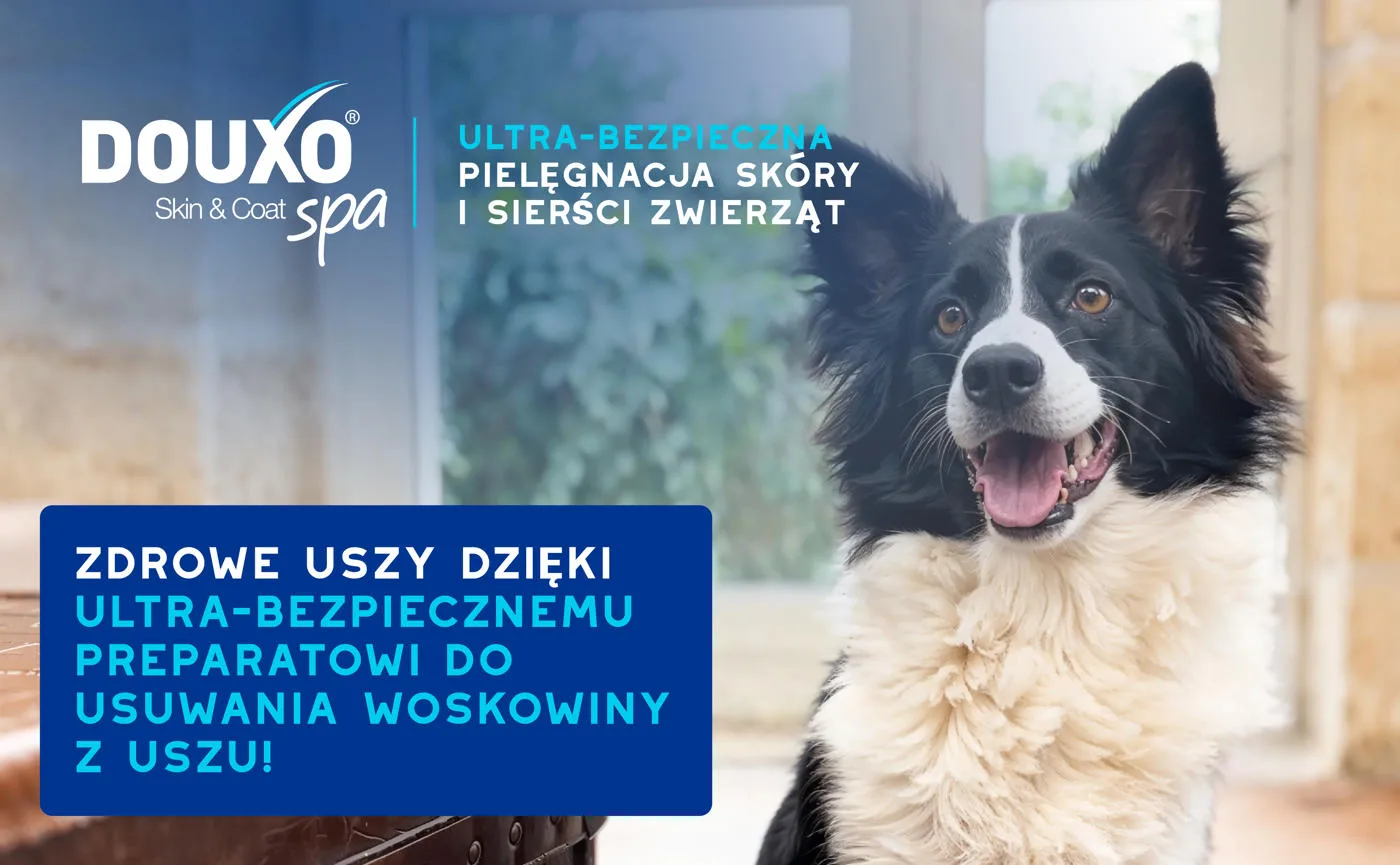 DOUXO Skin & Coat SPA Ear Cleaner 120ml ultrabezpieczny preparat do czyszczenia uszu dla psów i kotów