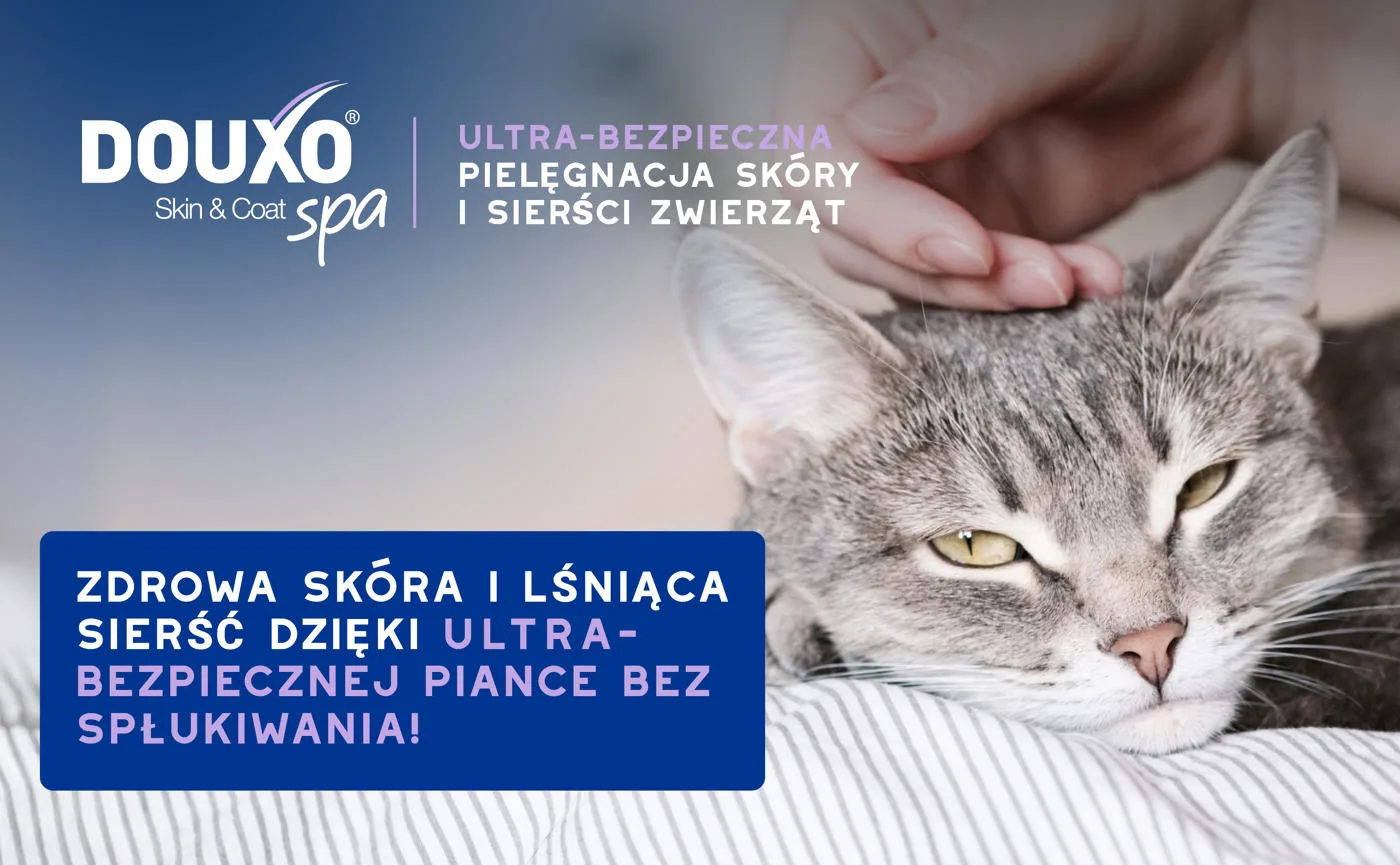 DOUXO Skin & Coat SPA Cat Mousse