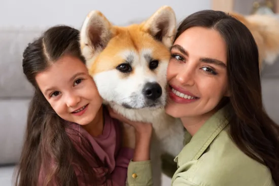Akita Inu – szkolenie rasy