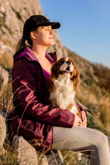 Cavalier King Charles Spaniel – wygląd rasy