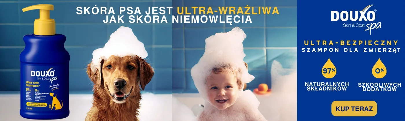 Strona główna