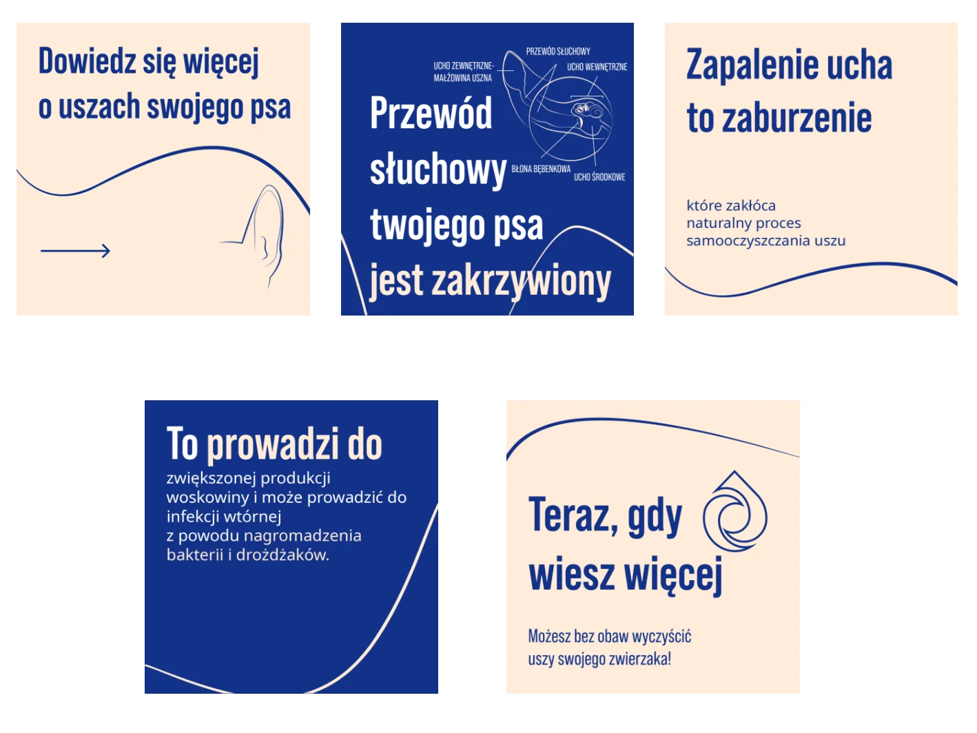 Dlaczego pielęgnacja uszu jest tak ważna u psów i kotów?
