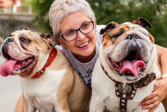 Buldog Angielski – pielęgnacja rasy