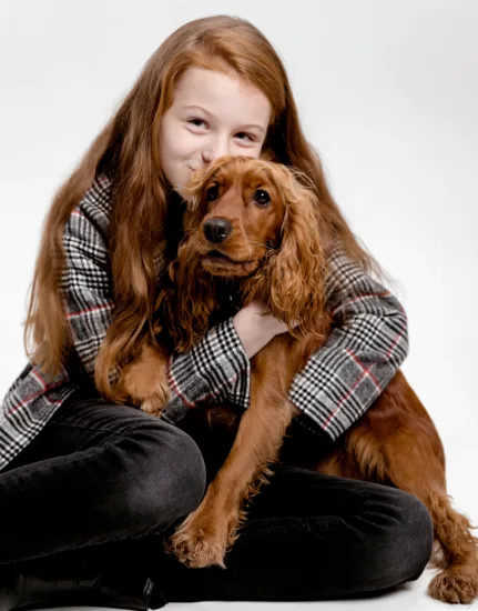 Cocker spaniel angielski – wygląd rasy