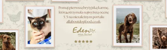 Strona główna