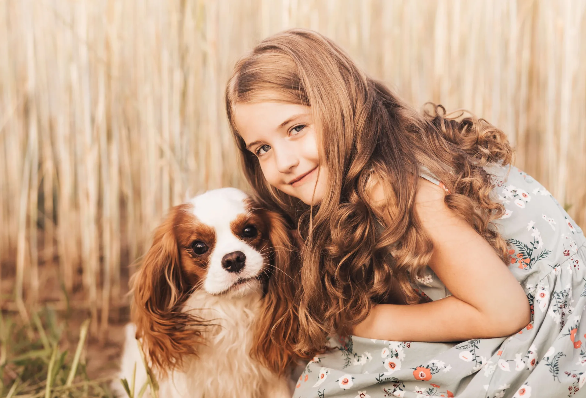 pies przyjazny dla dzieci