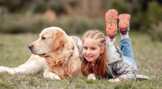 Golden Retriever – Żywienie Rasy