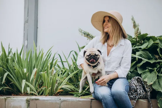 Mops – żywienie rasy