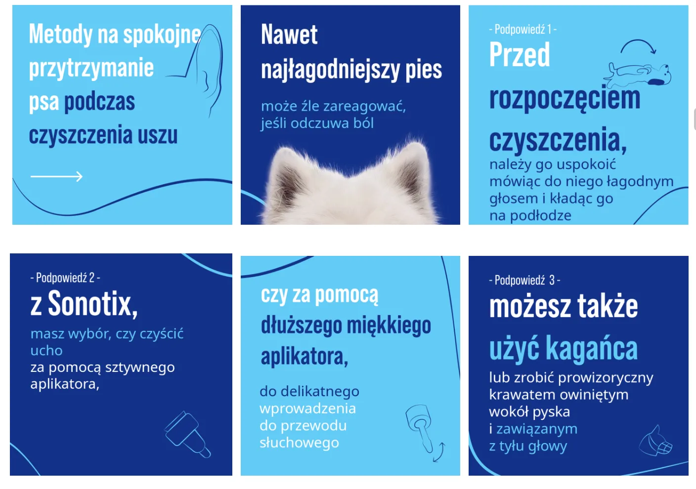 Dlaczego pielęgnacja uszu jest tak ważna u psów i kotów?