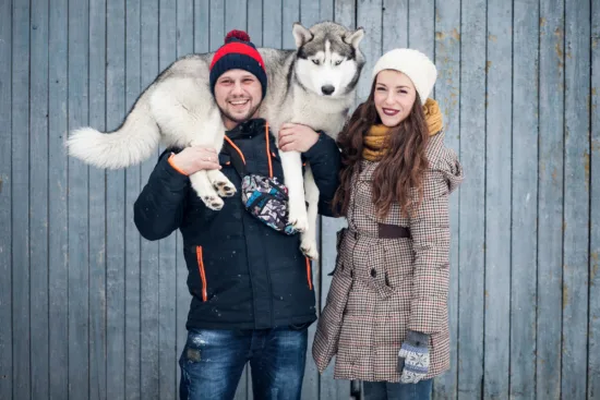 Husky syberyjski – żywienie rasy