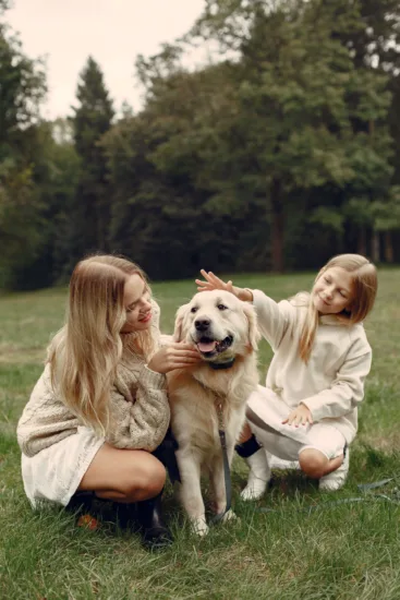 Golden Retriever – Zdrowie Rasy