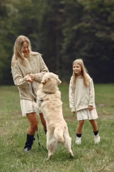 Golden Retriever – Pielęgnacja Rasy