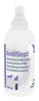 DECHRA Antisept 100ml spray do dezynfekcji skóry psów i kotów
