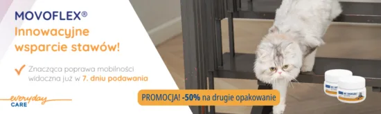 Aktualne promocje