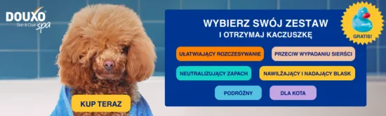 Aktualne promocje