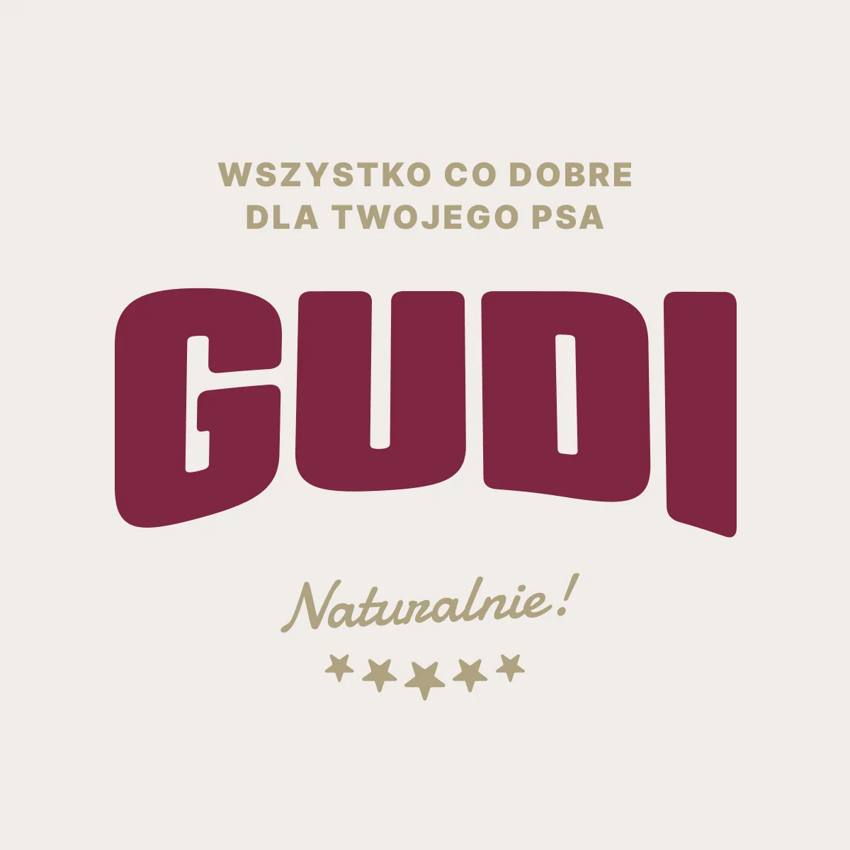 GUDI Paski mięsne Indyk 100g naturalne przysmaki dla psa