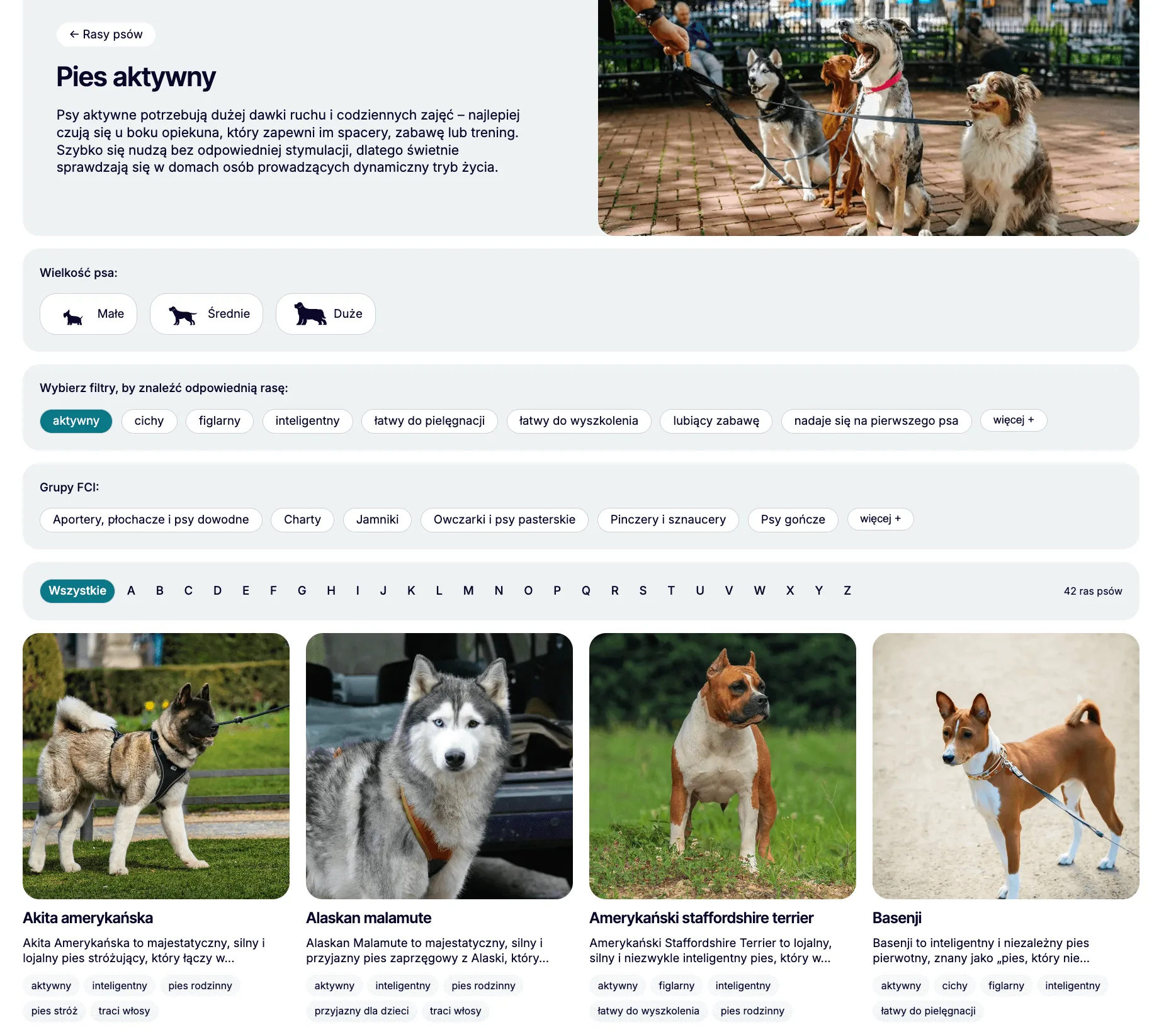 baza raz psów aktywnych