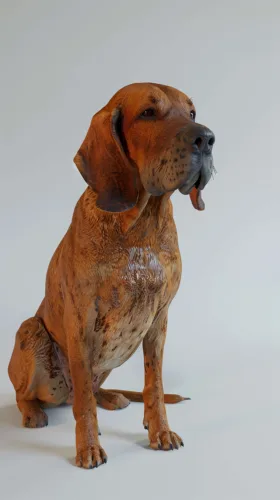 Bloodhound – cena rasy i koszt utrzymania