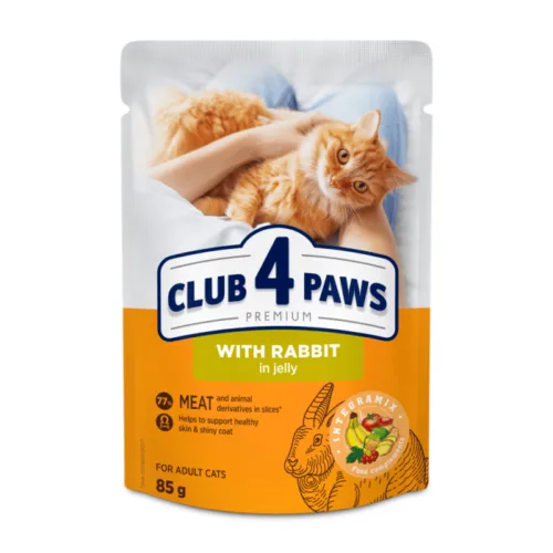 Club4Paws Premium z królikiem w galaretce 85g mokra karma dla kotów dorosłych