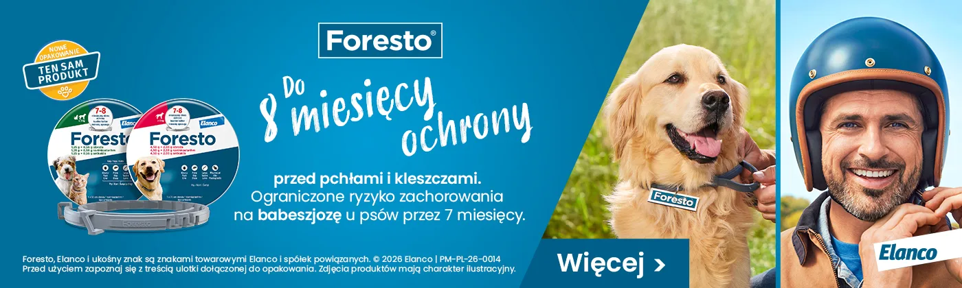 Strona główna