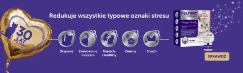 Strona główna