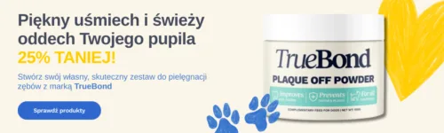 Aktualne promocje