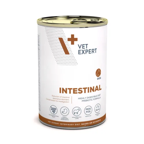 VET EXPERT 4t VD Intestinal Dog 400g