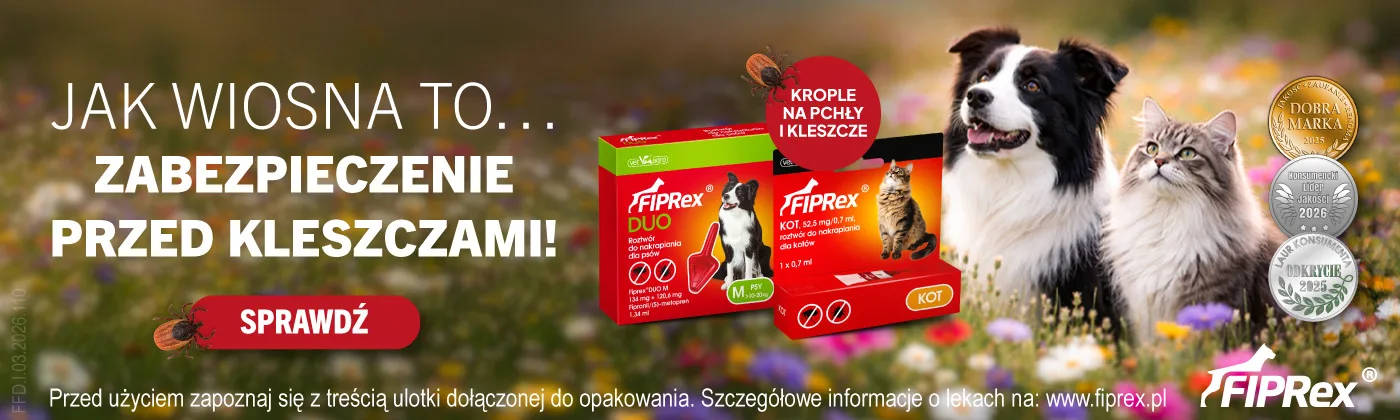 Strona główna