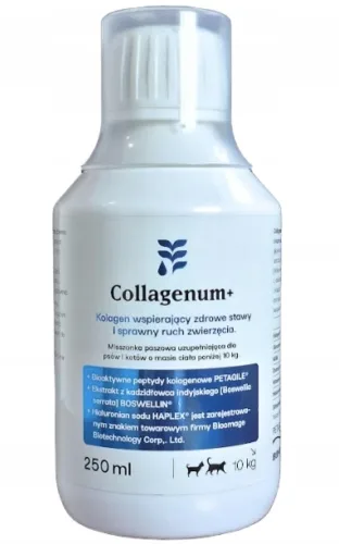Collagenum + 250 ml dla psów i kotów – kolagen + chondroityna