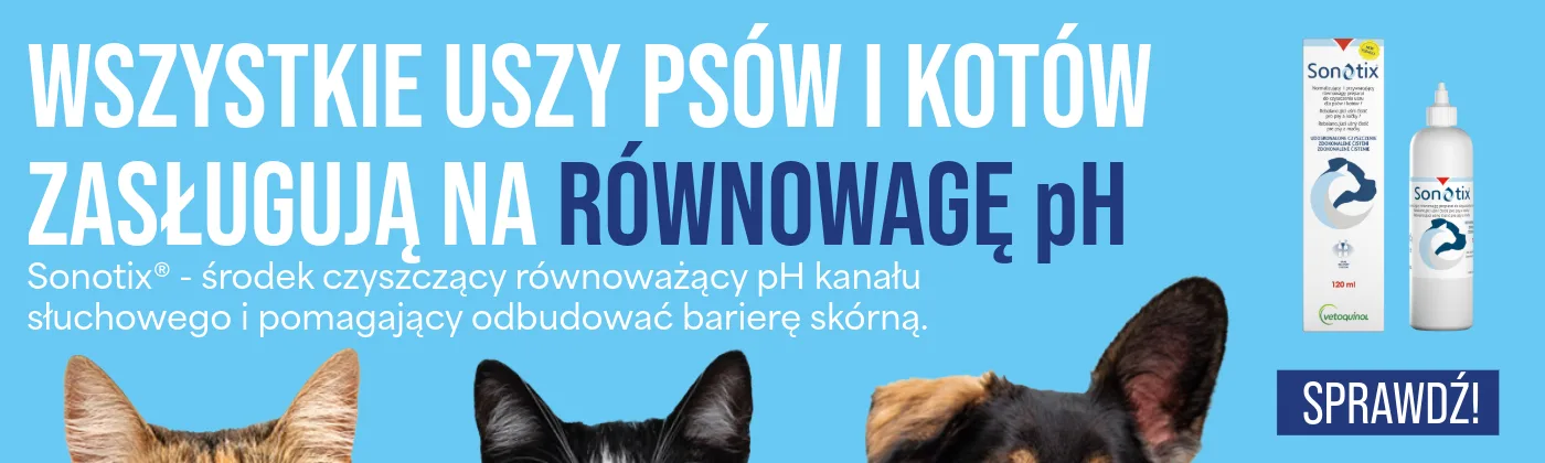 Strona główna