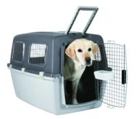 TRIXIE Box Transportowy Gulliver Vi 64X64X92 cm